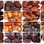 انواع خرما در جنوب ایران | راهنمای کامل انتخاب بهترین خرمای بندرعباس
