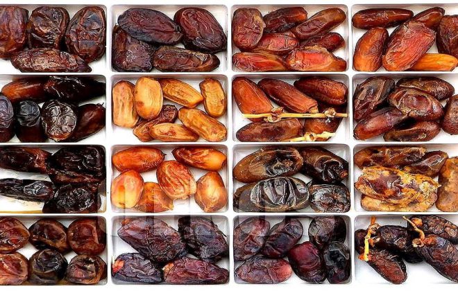 انواع خرما در جنوب ایران | بهترین خرمای بندرعباس